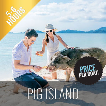 Unique snorkel Tour Pig Island  Koh Tan & Koh Mudsum - kohsamui.tours